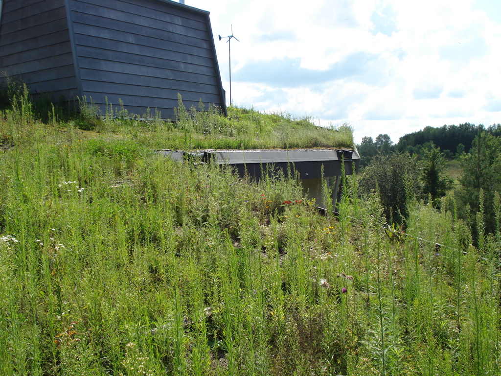 Wilson Natural Home with Greenroof