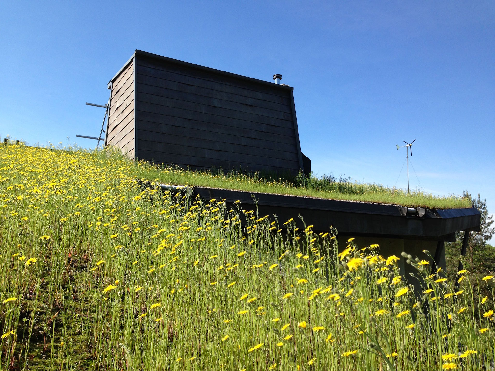 Wilson Natural Home Green Roof