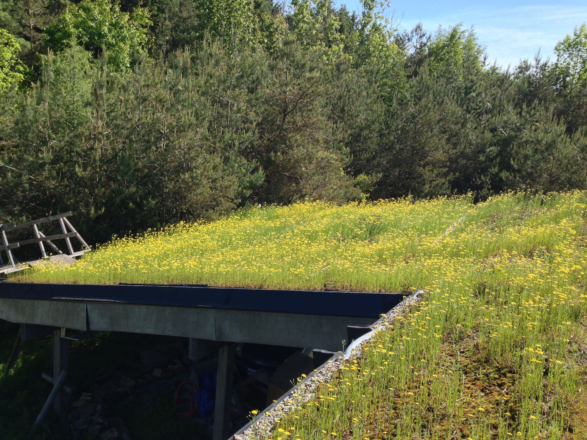 Wilson Natural Home Green Roof